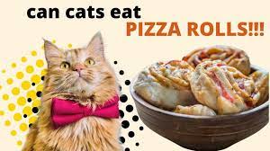 Can Cats Eat Pizza Rolls? Discover the Surprising Truth