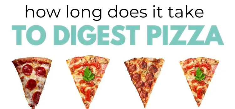 How Long Does It Take to Digest Pizza