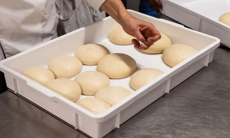 When is the Best Time to Freeze Pizza Dough