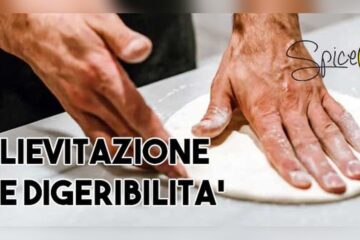 Does Kneading Affect Dough Digestibility Ultimate Pizza Guide Does Kneading Affect Dough Digestibility