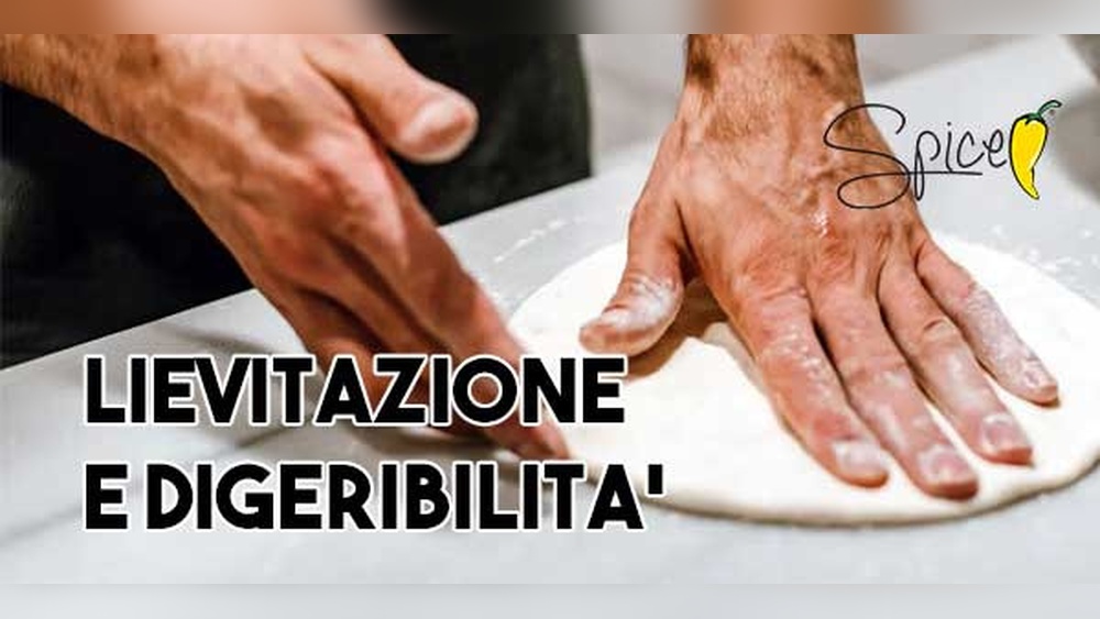 Does Kneading Affect Dough Digestibility Ultimate Pizza Guide Does Kneading Affect Dough Digestibility