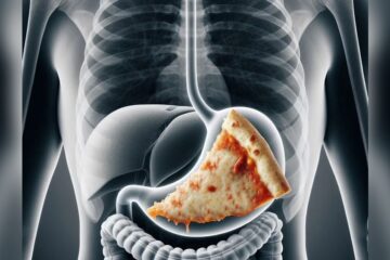 Does Long Fermentation Improve Pizza Digestion