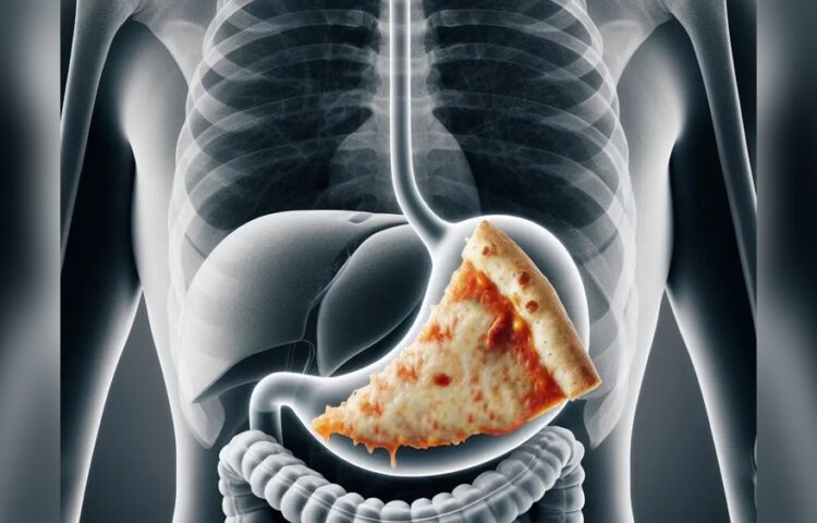 Does Long Fermentation Improve Pizza Digestion