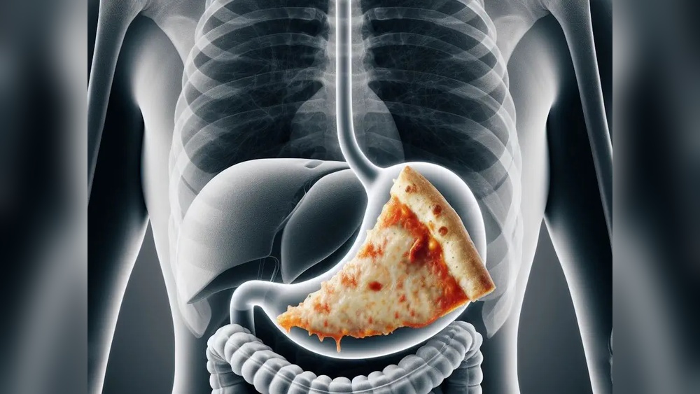 Does Long Fermentation Improve Pizza Digestion Ultimate Pizza Guide Does Long Fermentation Improve Pizza Digestion