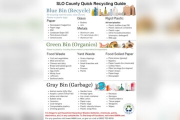 Pizza Accessory Disposal Guidelines Ultimate Pizza Guide Pizza Accessory Disposal Guidelines