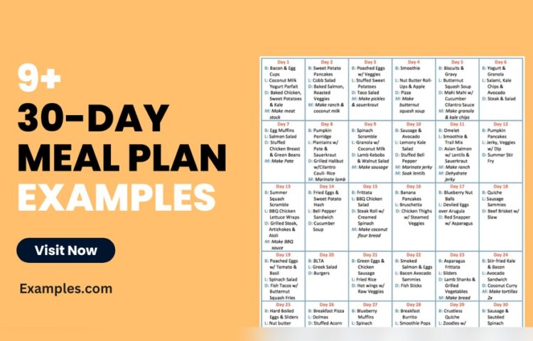 Pizza And Balanced Meal Planning
