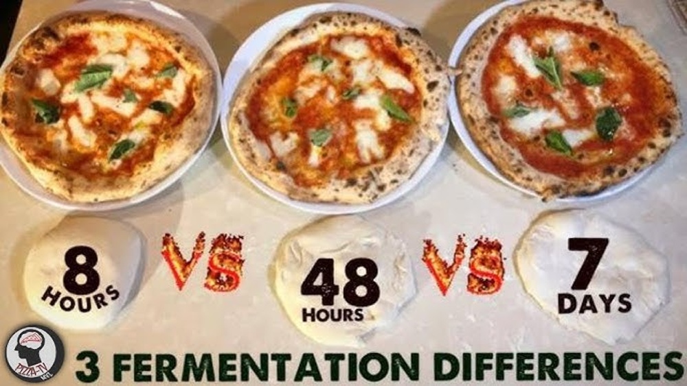 Pizza Dough Fermentation Length Ultimate Pizza Guide Pizza Dough Fermentation Length