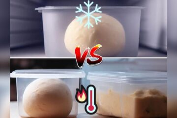 Pizza Dough Fermentation Temperature Ultimate Pizza Guide Pizza Dough Fermentation Temperature