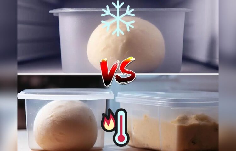 Pizza Dough Fermentation Temperature