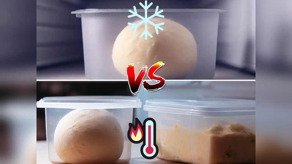 Pizza Dough Fermentation Temperature Ultimate Pizza Guide Pizza Dough Fermentation Temperature