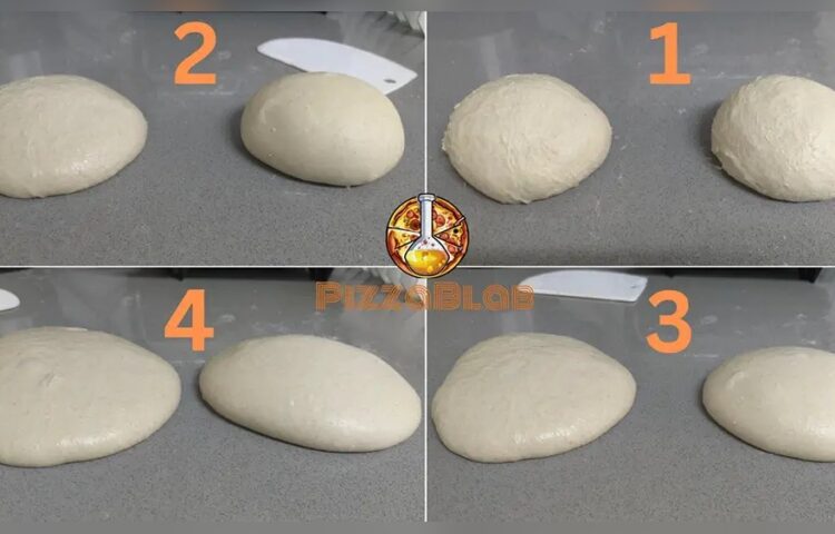 Pizza Dough Fermentation Time Guide