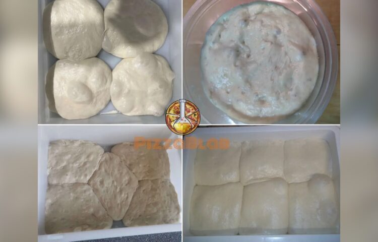 Pizza Dough Fermentation Troubleshooting