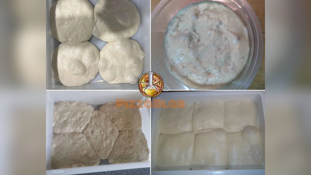 Pizza Dough Fermentation Troubleshooting Ultimate Pizza Guide Pizza Dough Fermentation Troubleshooting