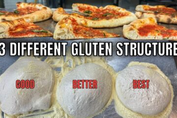 Pizza Dough Gluten Development Ultimate Pizza Guide Pizza Dough Gluten Development