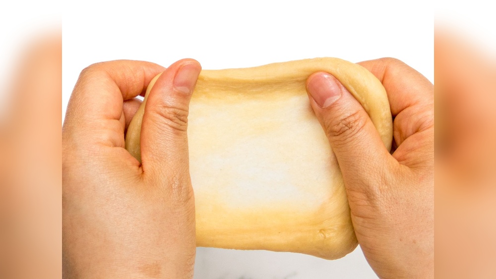 Pizza Dough Gluten Window Ultimate Pizza Guide Pizza Dough Gluten Window