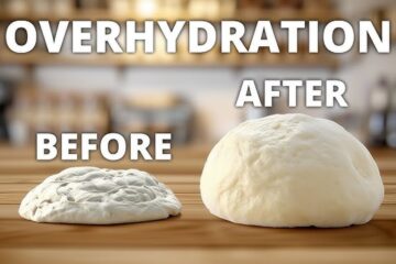 Pizza Dough Overhydration Issues