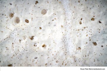 Pizza Dough Ph Balance Ultimate Pizza Guide Pizza Dough Ph Balance