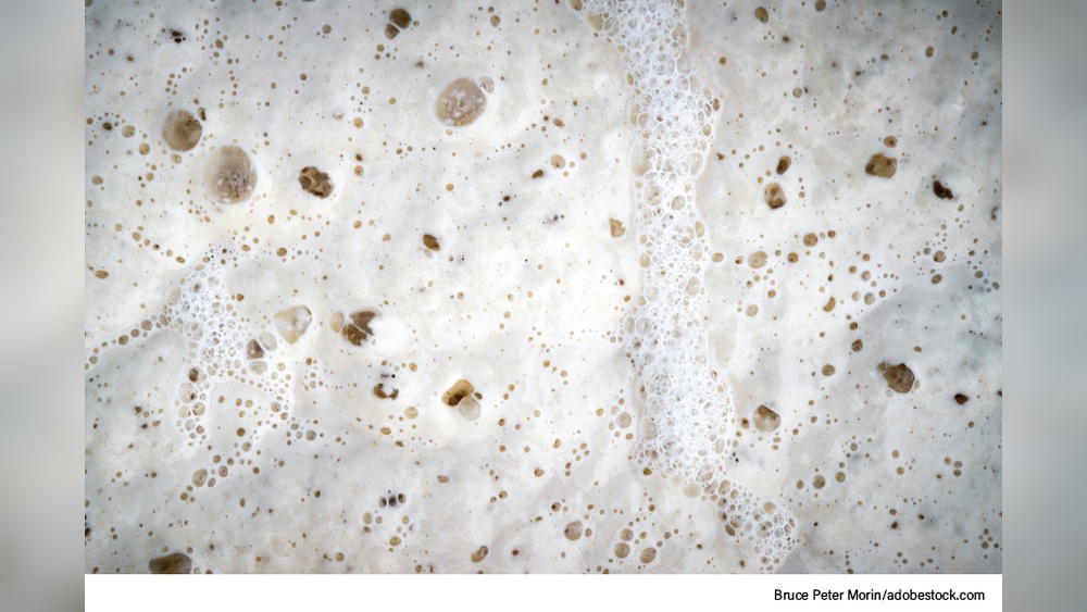 Pizza Dough Ph Balance Ultimate Pizza Guide Pizza Dough Ph Balance