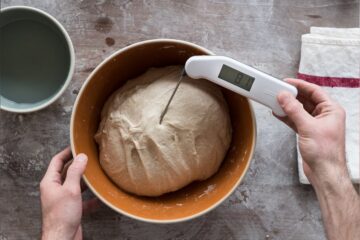 Pizza Dough Temperature After Mixing