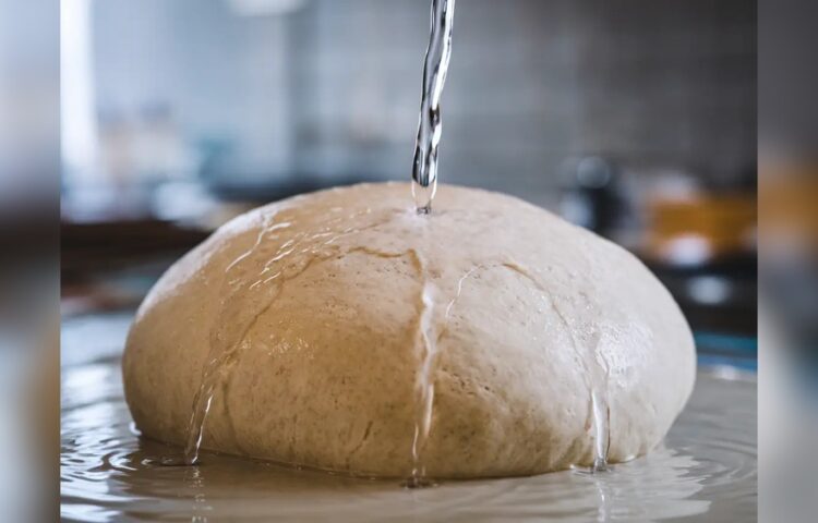 Pizza Dough Water Absorption